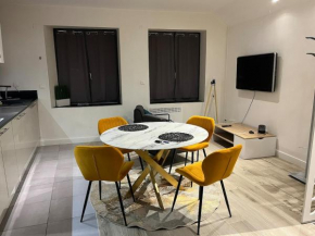 Bel appartement F2 rénové plein centre ville